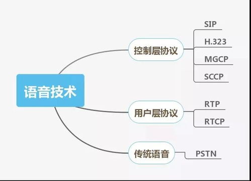 网络工程与弱电工程 领域对比与技能解析