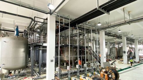 耗资20亿的哈佛“长生不老药”NMN工厂落户宁波余姚，是科学突破还是网络工程？